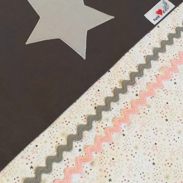 Couverture princesse des étoiles